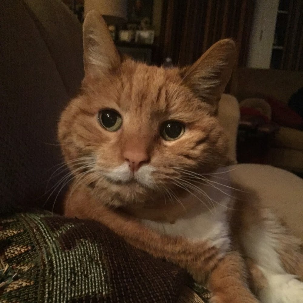 Meet your Posher, Katherine